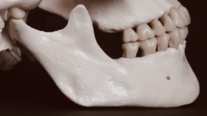 Skull with teeth