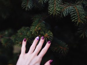 Touching the fir tree with red nail fingers